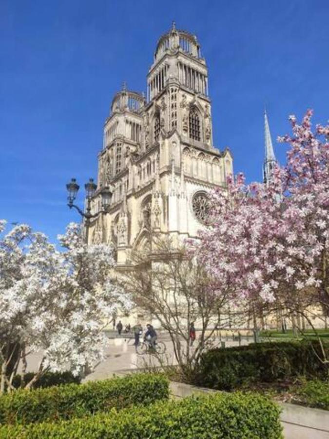 Апартаменти The Garden, Proche Bord De Loire Орлеан Екстер'єр фото